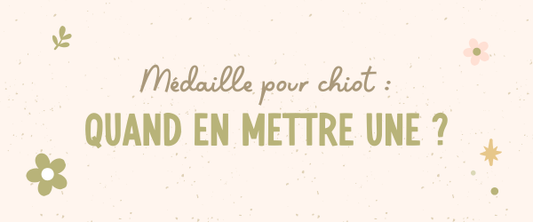 Médaille pour chiot : quand en mettre une ?
