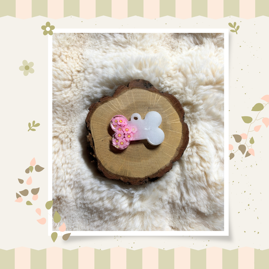 Collection Potentille