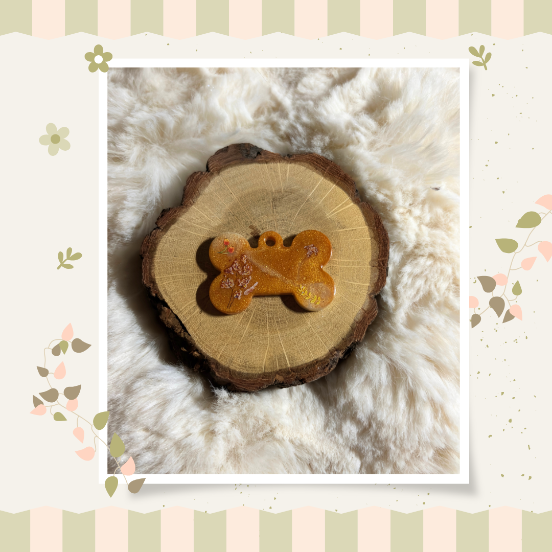 Médailles os - modèles divers