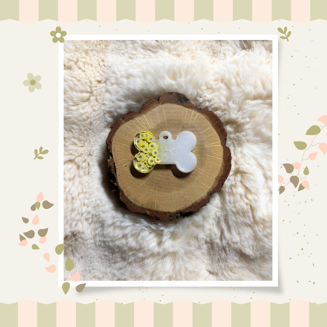 Collection Marguerites